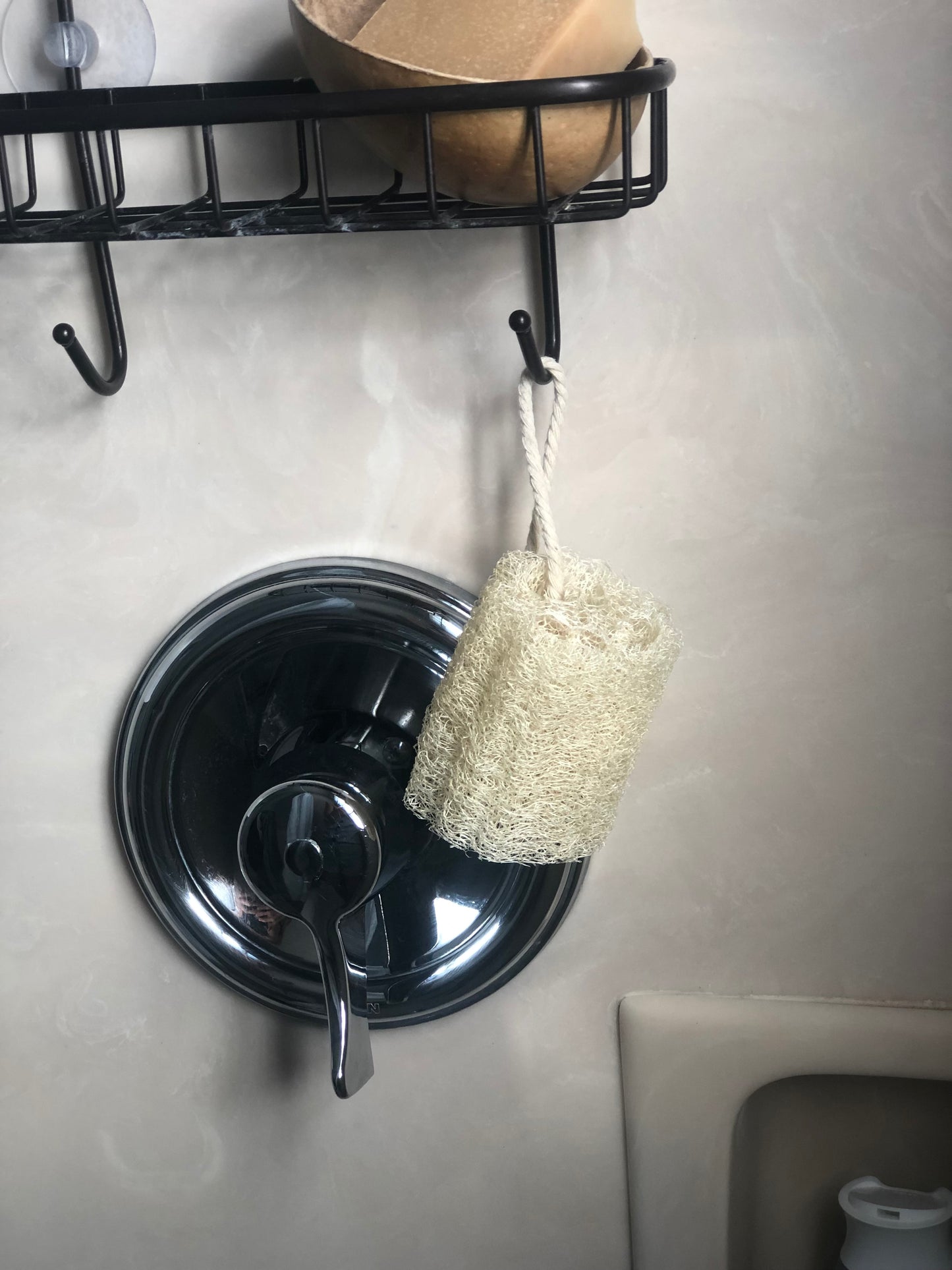 Biodegradable Luffa