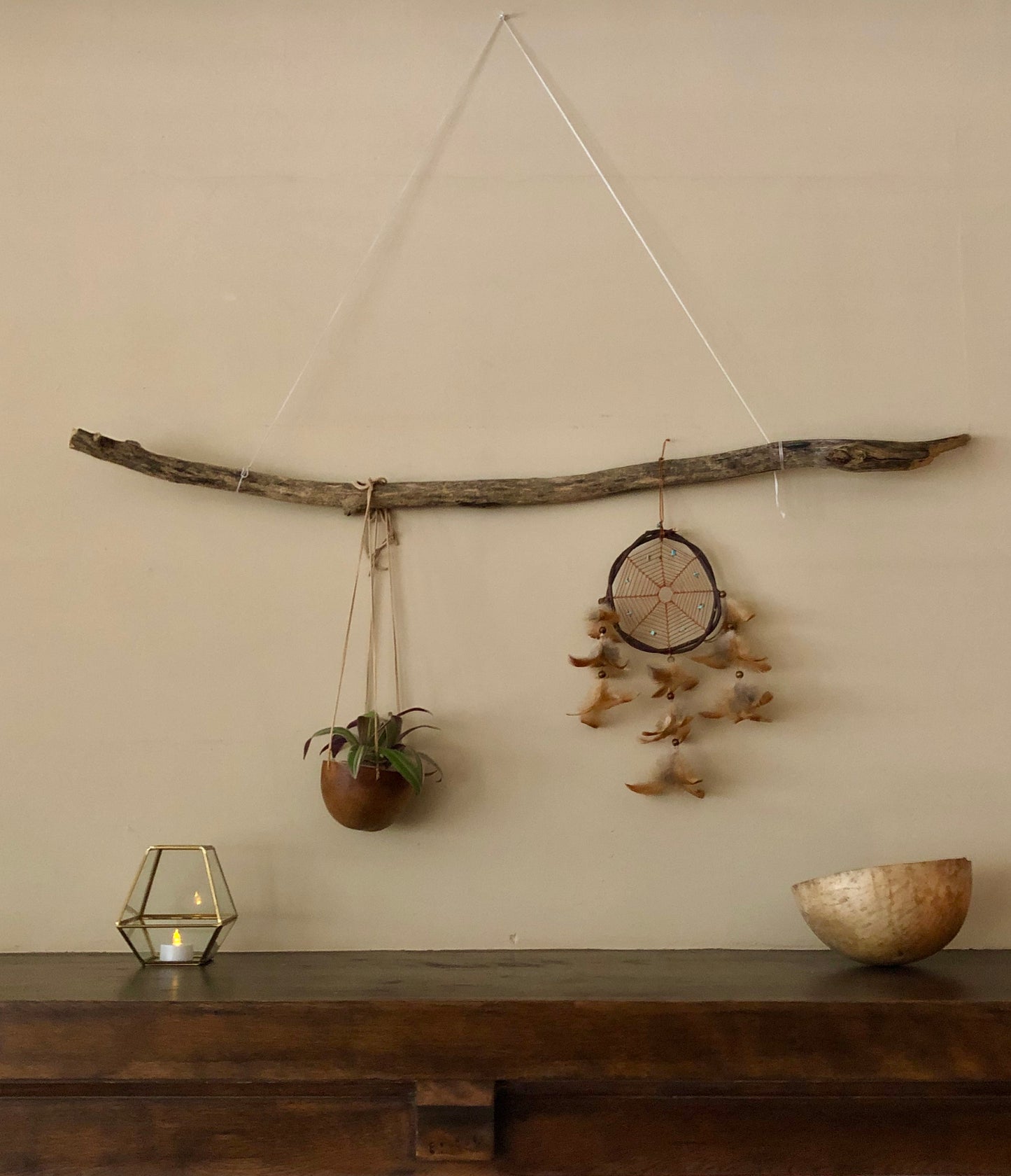 Can be used as natural home decor