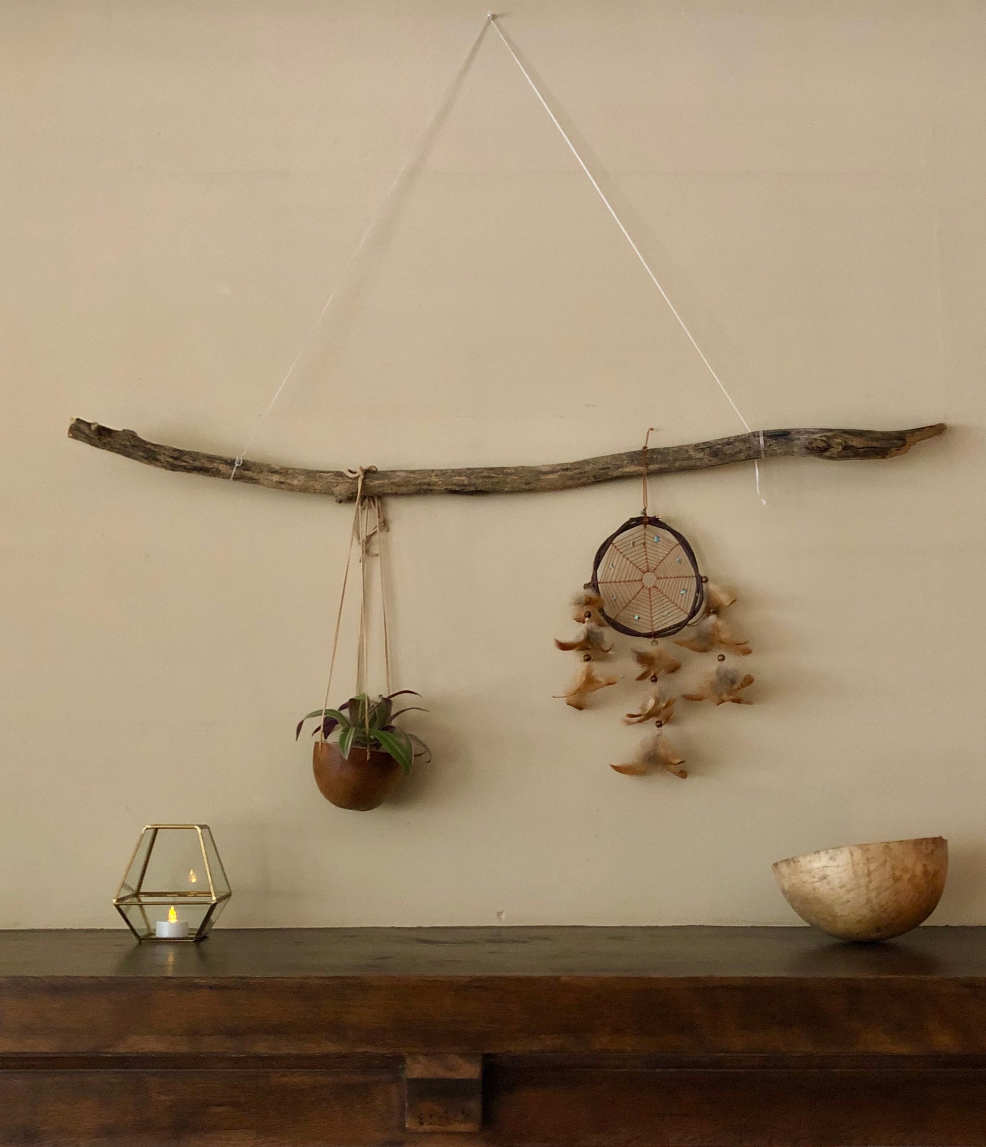 Can be used as natural home decor